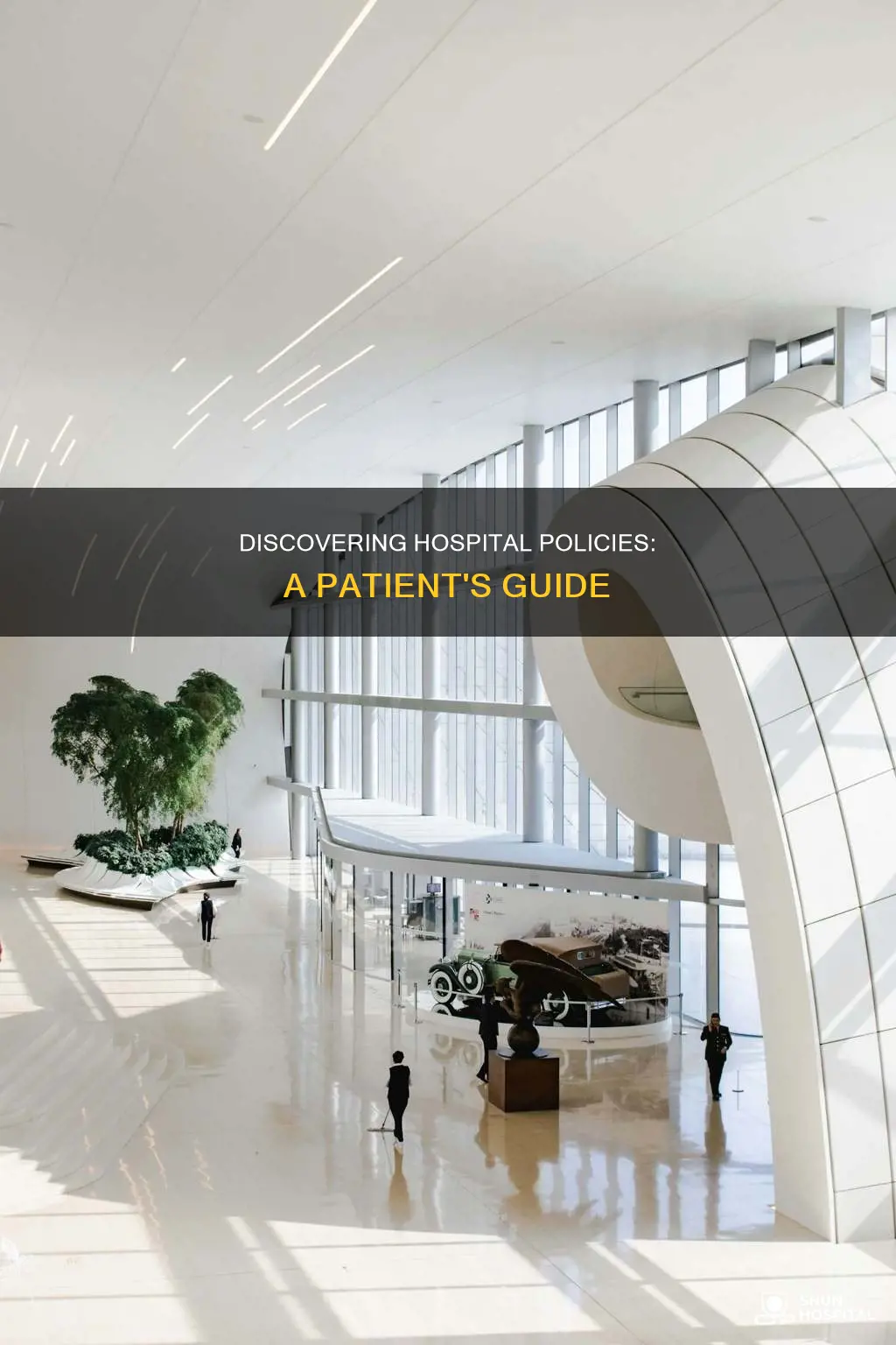 how to find out your hospitals policies