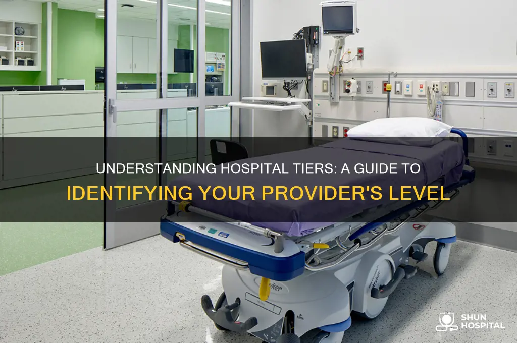 how to find what tier provider a hospital is