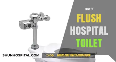 Mastering Hospital Toilet Flushing: A Simple Step-by-Step Guide