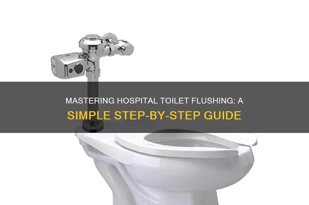 how to flush hospital toilet