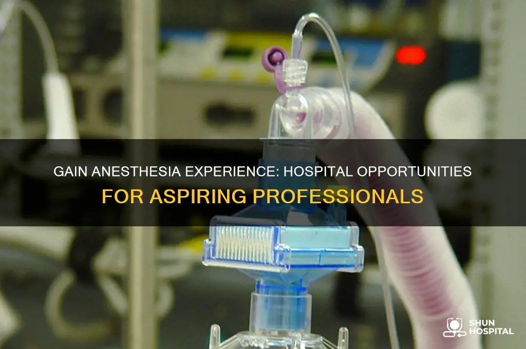 how to gain experience at a hospital for anesthesia