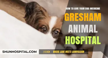 Easy Tips for Giving Your Dog Medicine: Gresham Animal Hospital Guide