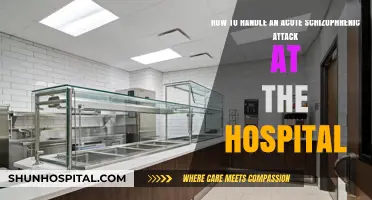 Managing Acute Schizophrenia Episodes: Hospital Strategies for Effective Care