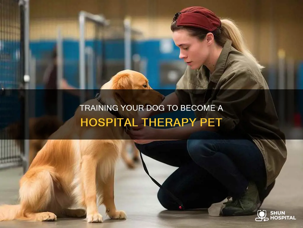 how to have your dog visit hospitals