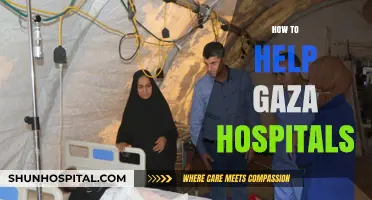 Supporting Gaza Hospitals: Practical Ways to Provide Aid and Relief