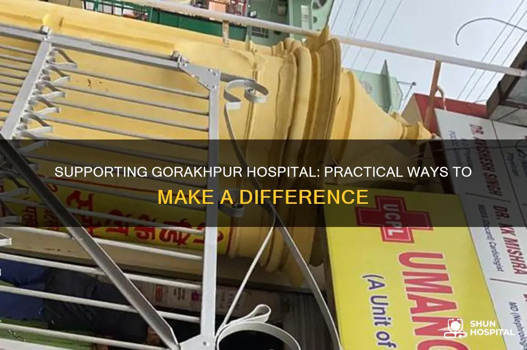 how to help gorakhpur hospital