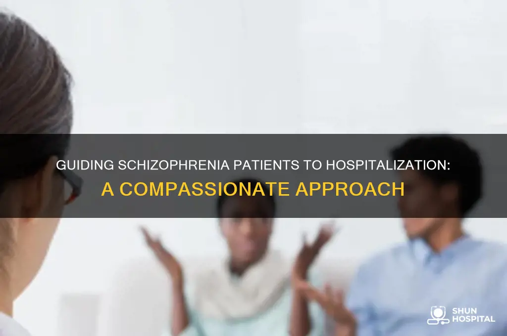 how to hospitalize a schizophrenic