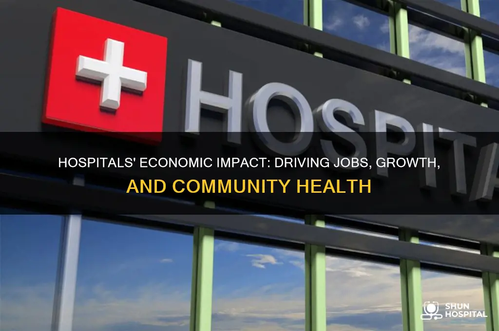 how to hospitals play a role in the economy