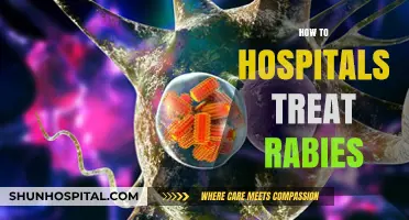 Effective Rabies Treatment Protocols in Hospitals: A Comprehensive Guide