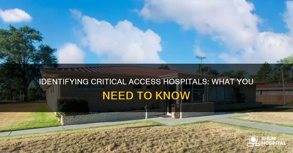 how to identify a critical access hospital