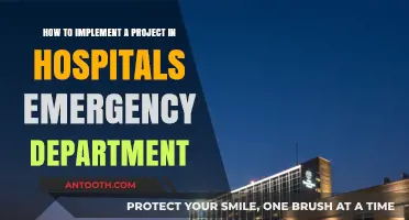 Efficient Strategies for Implementing Projects in Hospital Emergency Departments