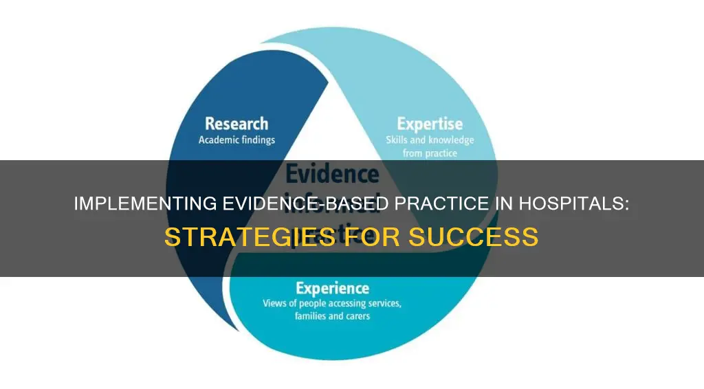 how to implement ebp in the hospita