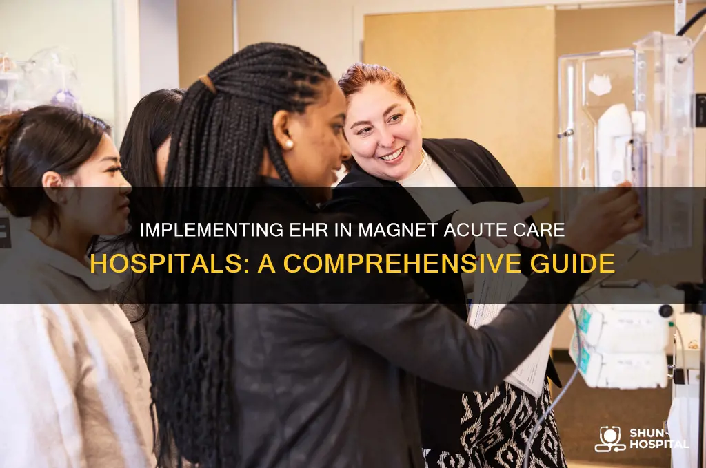 how to implement ehr in magnet acute care hospital