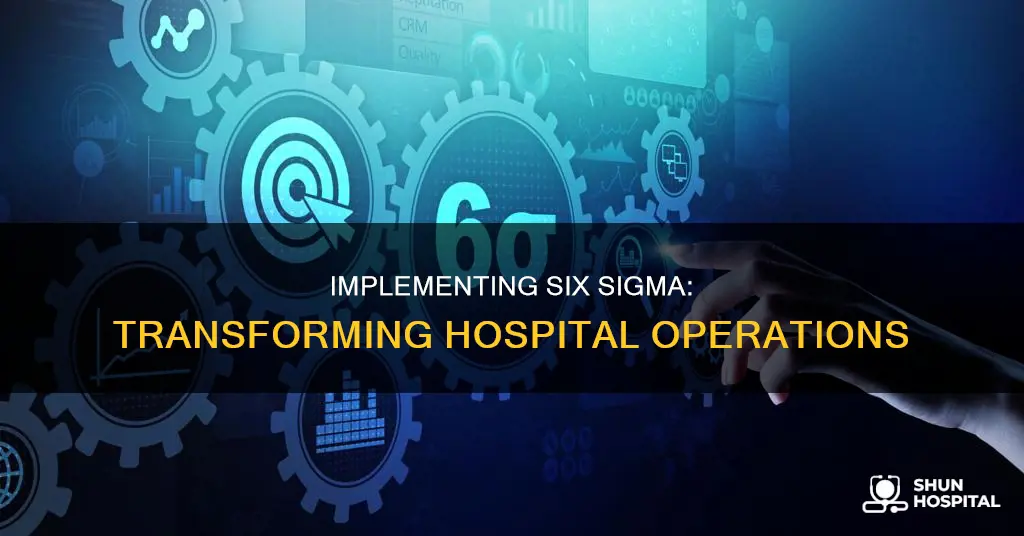 how to implement six sigma in hospitals