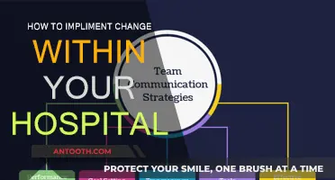 Implementing Change: Strategies for Hospital Transformation