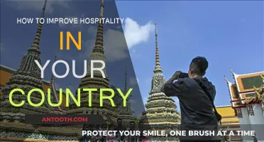 Boosting Hospitality: Strategies for a Country's Success