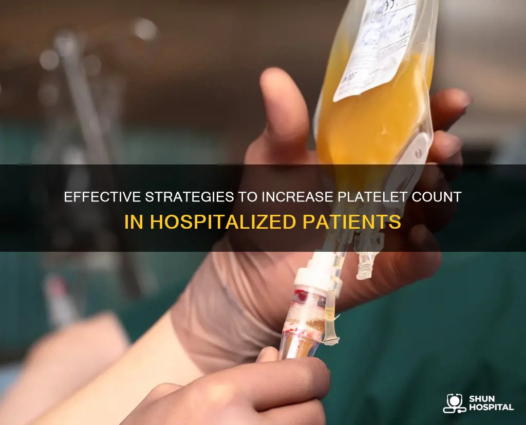 how to increase platelet count in hospital