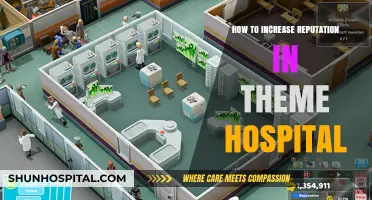 Boosting Your Theme Hospital Reputation: Tips and Tricks