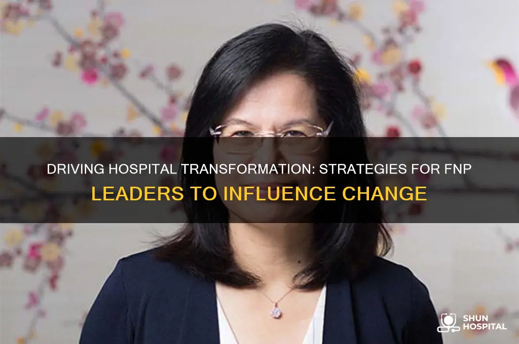 how to influence change in hospital as fnp leader