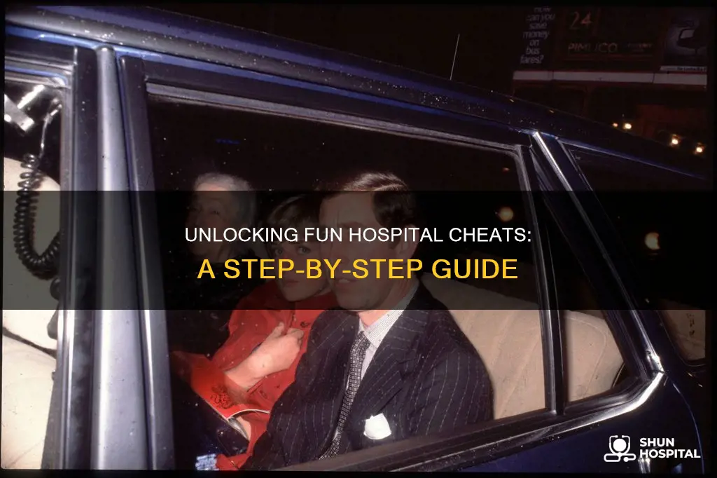 how to insert cheat in fun hospital