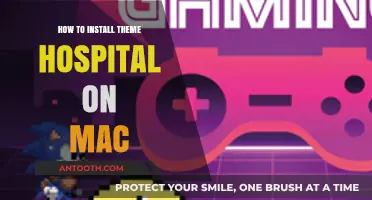 Get Theme Hospital Running on Your Mac