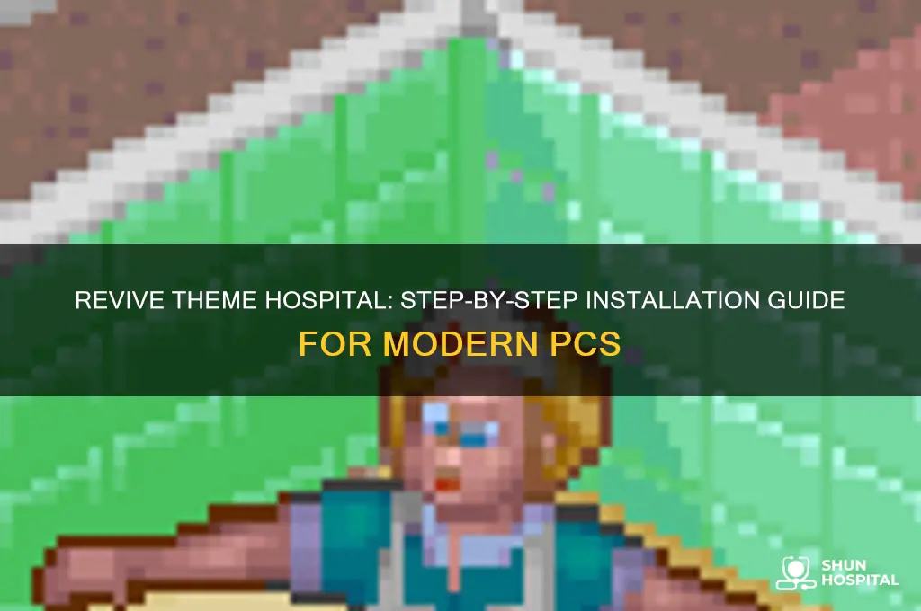 how to install theme hospital