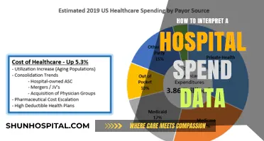 Strategies for Interpreting Hospital Spend Data