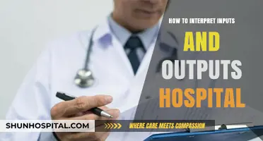 Understanding Hospital Inputs and Outputs: A Guide