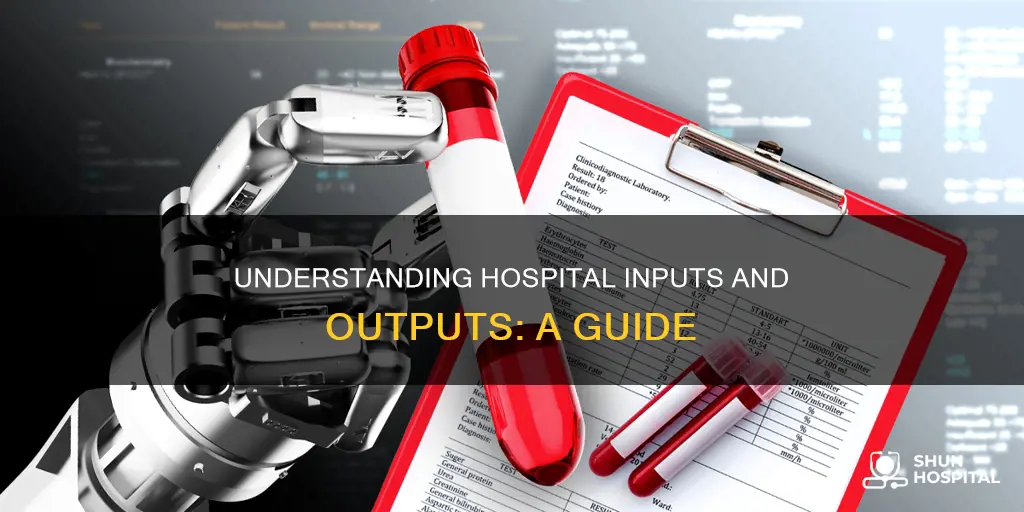 how to interpret inputs and outputs hospital