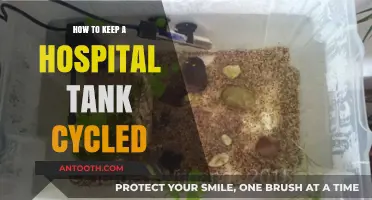 Maintain a Healthy Hospital Tank: Keep the Cycle Going