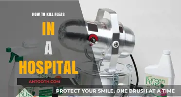 Eradicating Fleas: Hospital Edition