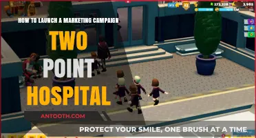 Launching a Successful Marketing Campaign for Two Point Hospital