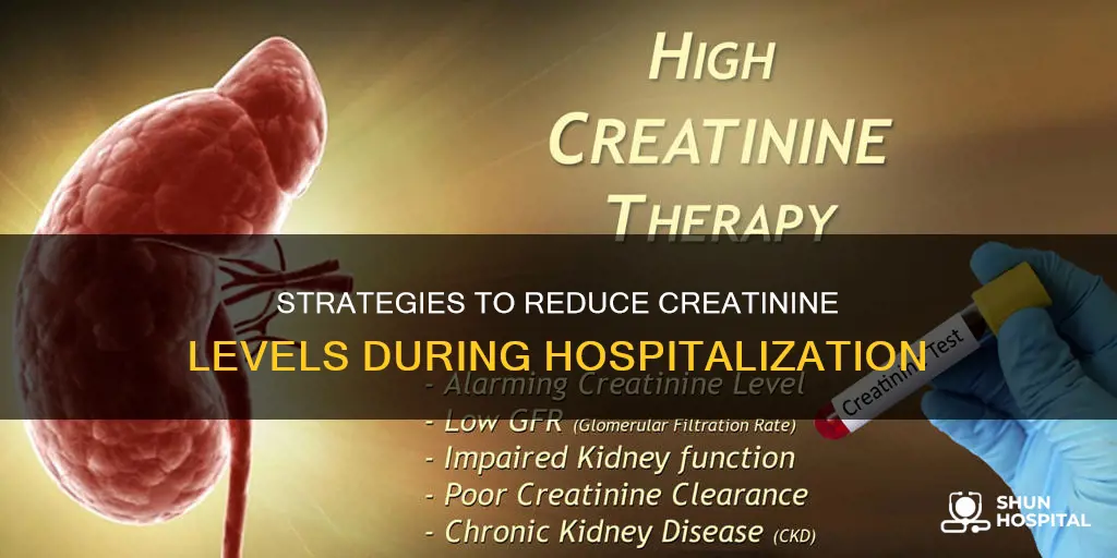 how to lower creatinine level in hospital