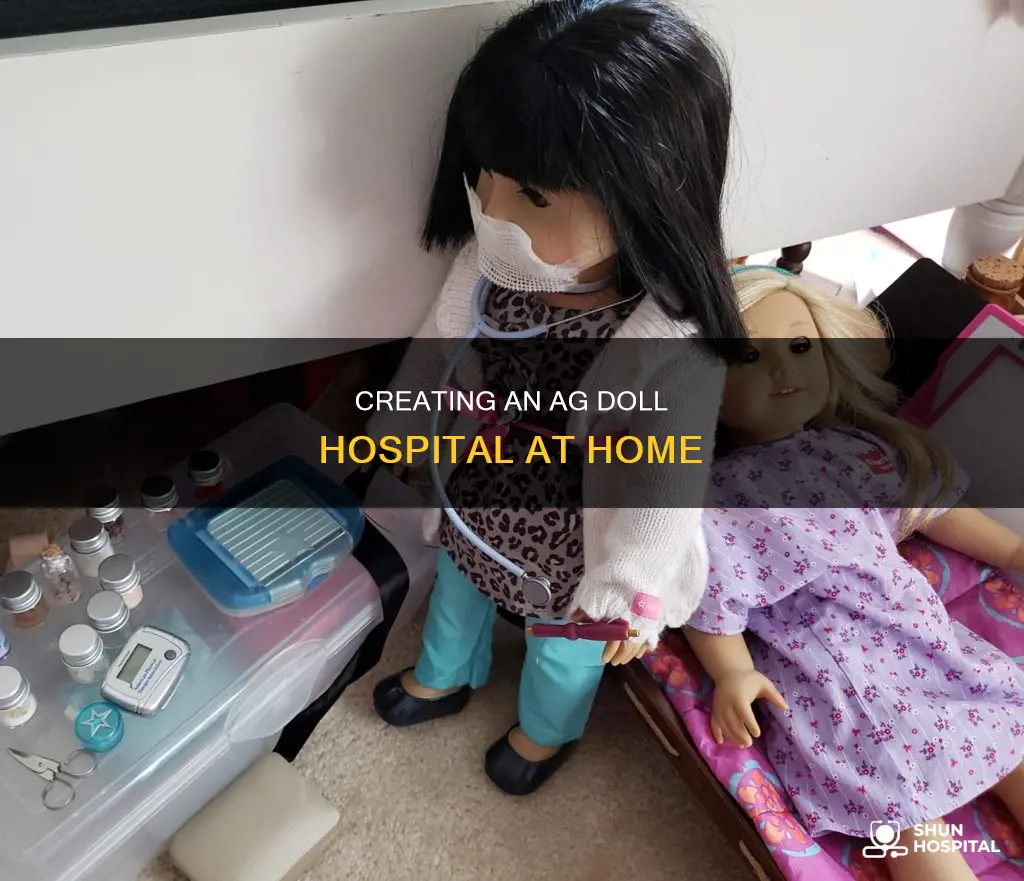 how to make a ag doll hospital