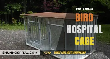Building a Bird Hospital Cage: DIY Guide