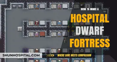 Creating a Healthy Dwarf Fortress: Hospital Edition
