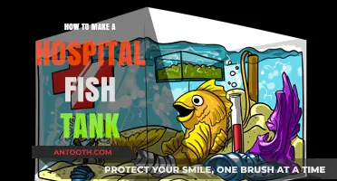 Creating a Hospital Tank for Your Fish