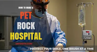 Creating a Pet Rock Hospital: A Step-by-Step Guide