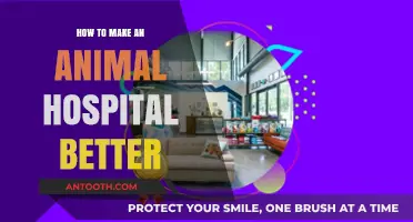 Improving Animal Hospitals: A Comprehensive Guide