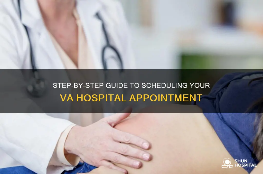 how to make an appointment at a va hospital