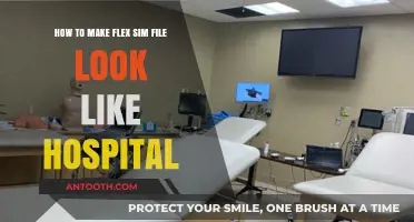 Transforming Flex Sim Files into Realistic Hospital Environments: A Step-by-Step Guide