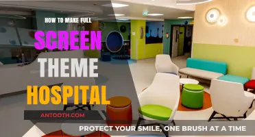 Maximizing Theme Hospital: A Full-Screen Guide