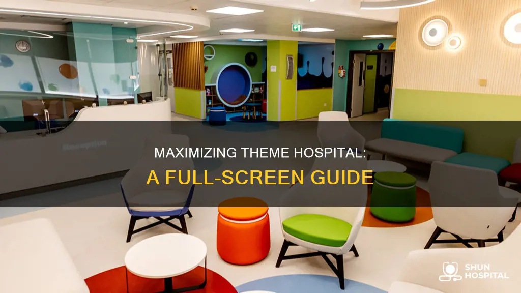 how to make full screen theme hospital