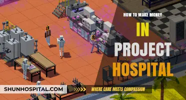 Making Money in Project Hospital: Strategies for Success