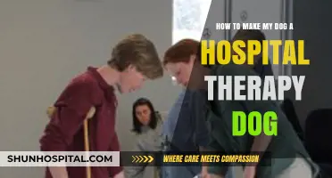 Transform Your Dog into a Hospital Therapy Companion: A Guide