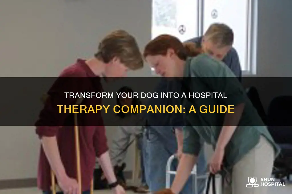 how to make my dog a hospital therapy dog