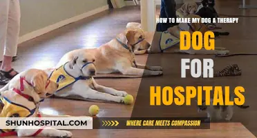 Transform Your Dog into a Hospital Therapy Companion: A Guide