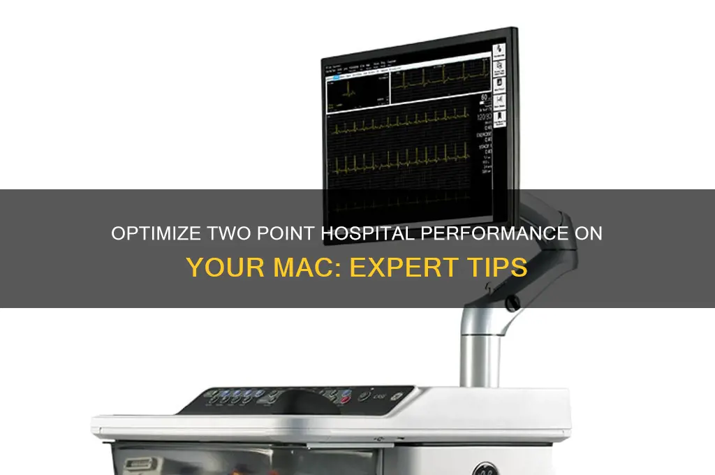 how to make two point hospital run smoother on mac