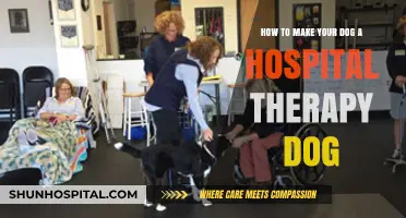 Training Your Dog to Be a Compassionate Hospital Therapy Companion