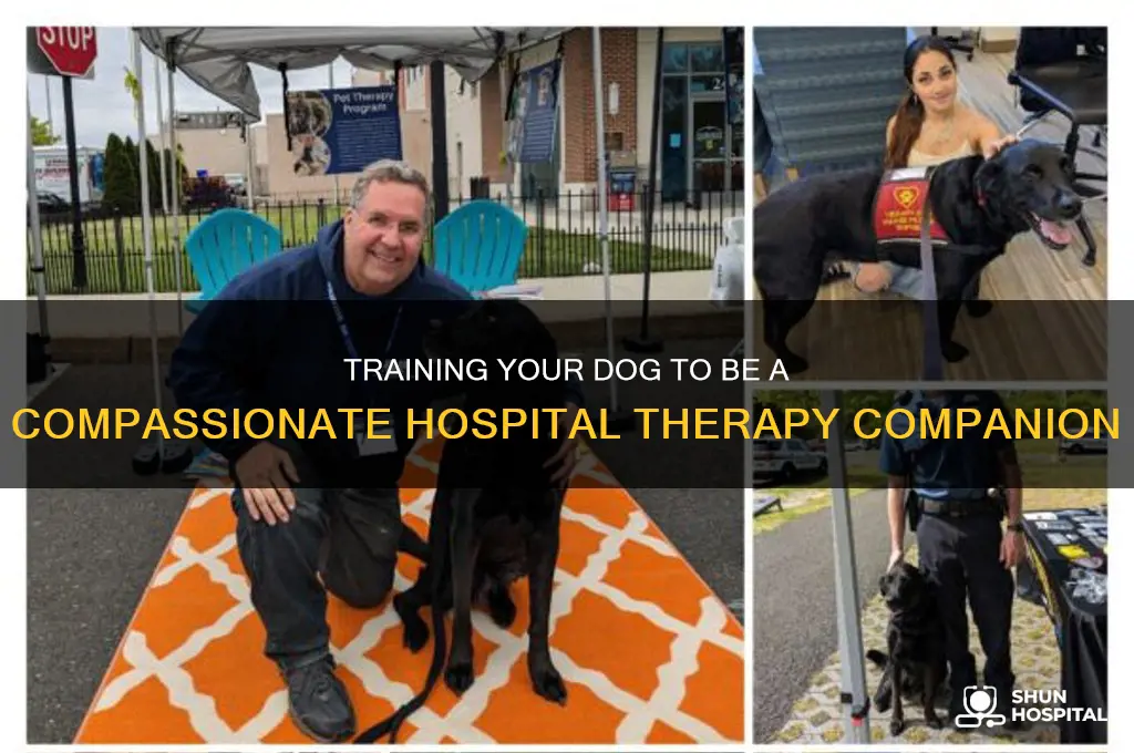how to make your dog a hospital therapy dog